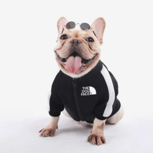 APPAREL