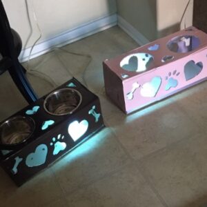Small Pet Double Sticky Fly Bowl
