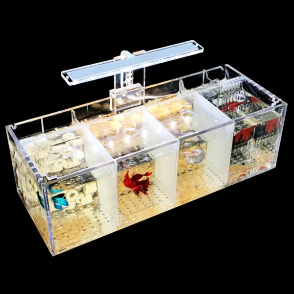 220V Creative Betta Fish Tank Breeding Incubator Isolation Box Water-free Desktop Small Acrylic Ecological Aquarium Tank - Image 2