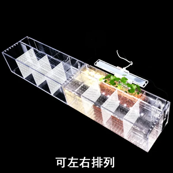 220V Creative Betta Fish Tank Breeding Incubator Isolation Box Water-free Desktop Small Acrylic Ecological Aquarium Tank - Image 4