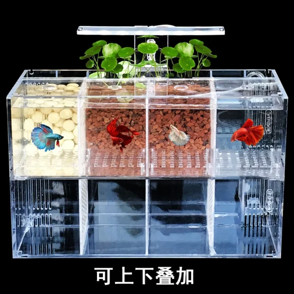220V Creative Betta Fish Tank Breeding Incubator Isolation Box Water-free Desktop Small Acrylic Ecological Aquarium Tank - Image 3