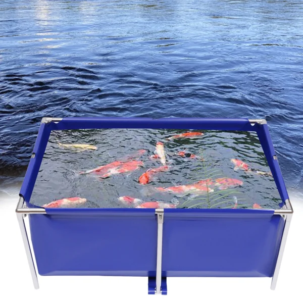 Aquarium Fish Water Tank Ornamental Swimming Pool Koi Breeding Pond of Fish Lobster Leeches Prawns - Image 2