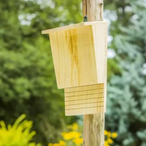 Outside Bat Habitat House Wooden Bat Shelter Outside Bat Habitat House Wooden Decor Wooden Bat Box Shelter & Nest