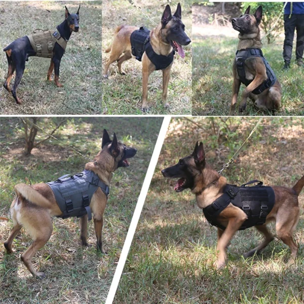 K9 Tactical Military Vest Pet German Shepherd Golden Retriever Tactical Training Dog Harness and Leash Set For All Breeds Dogs - Image 5