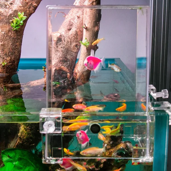 Aquariums Negative Pressure Fish Tank Clear Aerial Aquarium Extender Ecological Landscaping Decoration Fish Tank Bowl Isolation - Image 4
