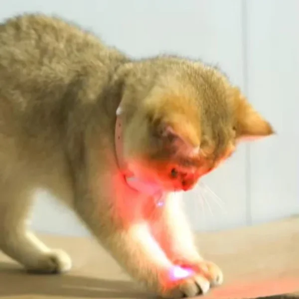 Automatic Cat Toys with LED Light Interactive Laser Toys for Indoor Cats Electronic Collar for Kitten Rechargeable Cat Teaser - Image 5