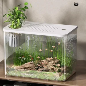 Transparent Turtle Tank Aquarium Fish Bowl Small Aquarium Fish Tank Kit Multifunctional Office Desktop Home Ornaments Decor 2024