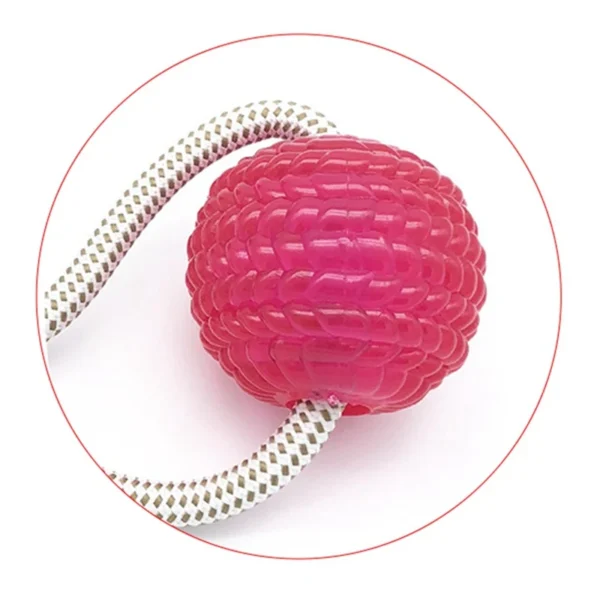 Interactive Dog Suction Cup Push TPR Ball Toys Elastic Ropes Dog Tooth Cleaning Chewing Playing IQ Treat Toys Puppy Pet Supplies - Image 6