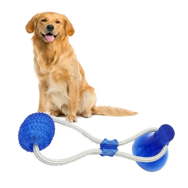 Interactive Dog Suction Cup Push TPR Ball Toys Elastic Ropes Dog Tooth Cleaning Chewing Playing IQ Treat Toys Puppy Pet Supplies - Image 3