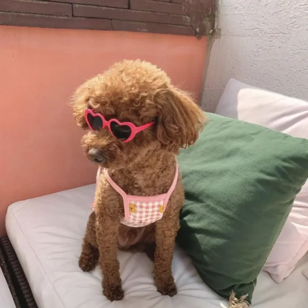New love pet glasses dog cat cute creative fashion sunglasses sunglasses with jewelry pet beauty decoration supplies - Image 5