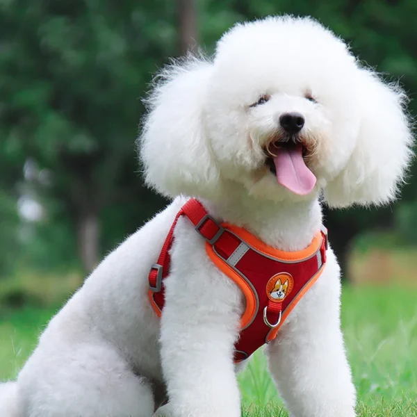 Dogs Adjustable Harness Leash Set for Small Medium Dogs Harness Vest Reflective Puppy Chest Strap Pet Walking Outdoor Supplies - Image 5