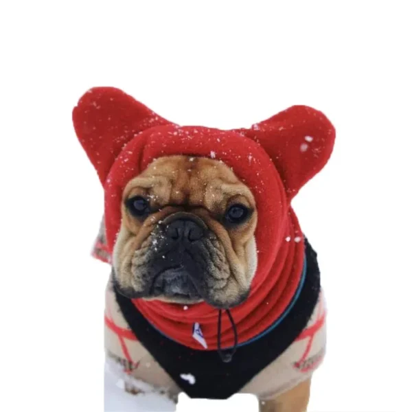 Cute Dog's Fleece Bat Hat Soft Warm Adjustable French Bulldogs Winter Hats Pet Supplies - Image 6