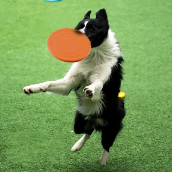 7 Colors Silicone Flying Saucer Funny Dog Cat Toy Dog Game Flying Discs Resistant Chew Puppy Training Interactive Pet Supplies - Image 4