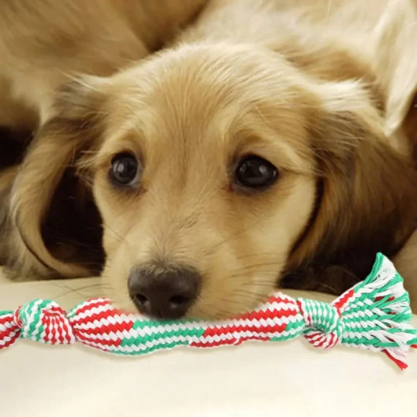 Puppy Pet Toy Puppy Kitten Teeth Grinding Toy for Anxiety Relief Super Soft Bite-resistant Candy-shaped Pet Dog Toy Pet Chew