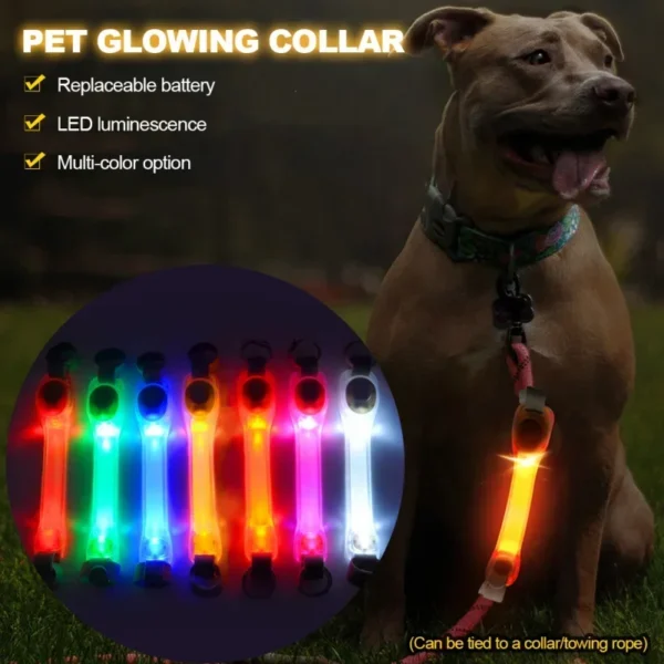 Dog Anti Lost Safety Glowing Collar Multi-Color Pendant Outdoor Waterproof Warning Led Flashing Light Strip Pet Traction Supplie - Image 2