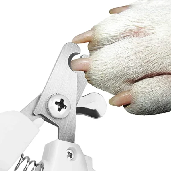 Professional Pet Cat Large Dog Nail Clipper Safety Cutter With Sickle Stainless Steel Grooming Scissors Teddy Claw Care Supplies - Image 4