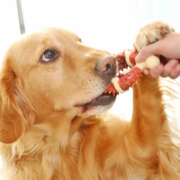 Pet Toy Ring Cleaning Teeth Bones Dogs Hollow Design Bones Toys For Pet Puppy Supplies Pets Chewing Toy Snack Food Treats - Image 6