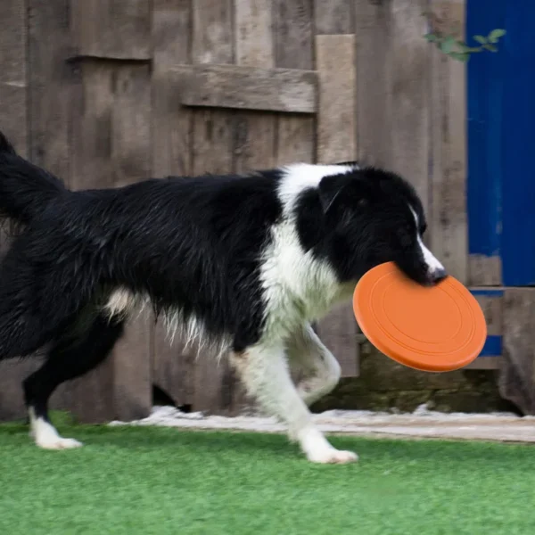 7 Colors Silicone Flying Saucer Funny Dog Cat Toy Dog Game Flying Discs Resistant Chew Puppy Training Interactive Pet Supplies - Image 3