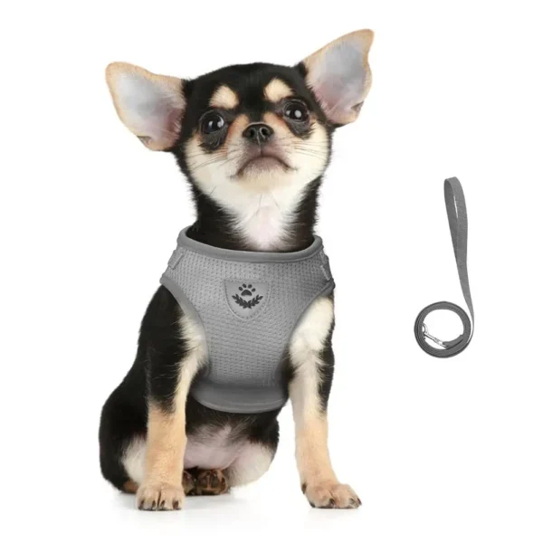 Cat Harness Lead Leash Set Adjustable Reflective Escape Proof Pet Mesh Vest Harness Puppy Dog Collar Small Dog Cat Pet Supplies - Image 4