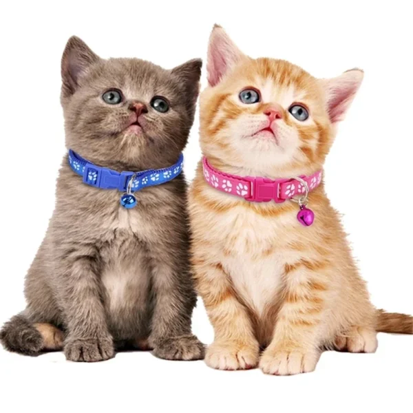 Adjustable Paw Print Collar for Cat, Colorful Pet Supplies, Cat Necklace, Bell Positioning Footprint, Dropship - Image 6