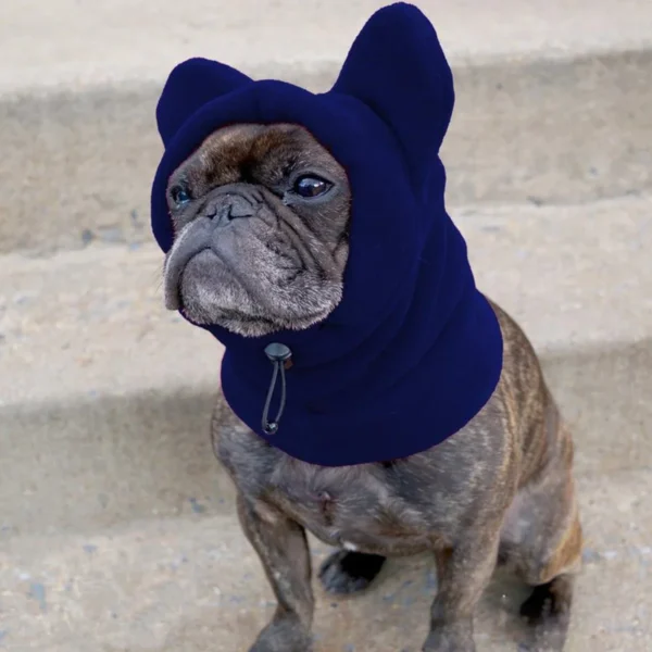 Cute Dog's Fleece Bat Hat Soft Warm Adjustable French Bulldogs Winter Hats Pet Supplies - Image 5