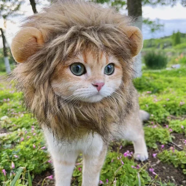 Funny Pets Clothes Cap Cute Cat Wig Lion Mane Costume Cosplay Kitten Dog Hat with Ears Fancy Party Supplies - Image 3
