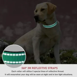 Pet Supplies Dog Leash Collar Adjustable Pet Leash Chest Strap Dog Leash Collar