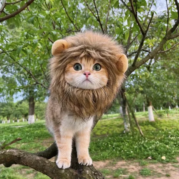 Funny Pets Clothes Cap Cute Cat Wig Lion Mane Costume Cosplay Kitten Dog Hat with Ears Fancy Party Supplies - Image 4