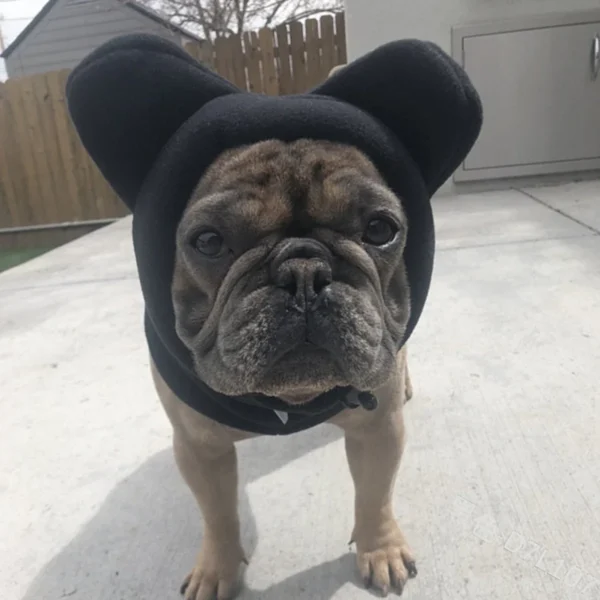Cute Dog's Fleece Bat Hat Soft Warm Adjustable French Bulldogs Winter Hats Pet Supplies - Image 4