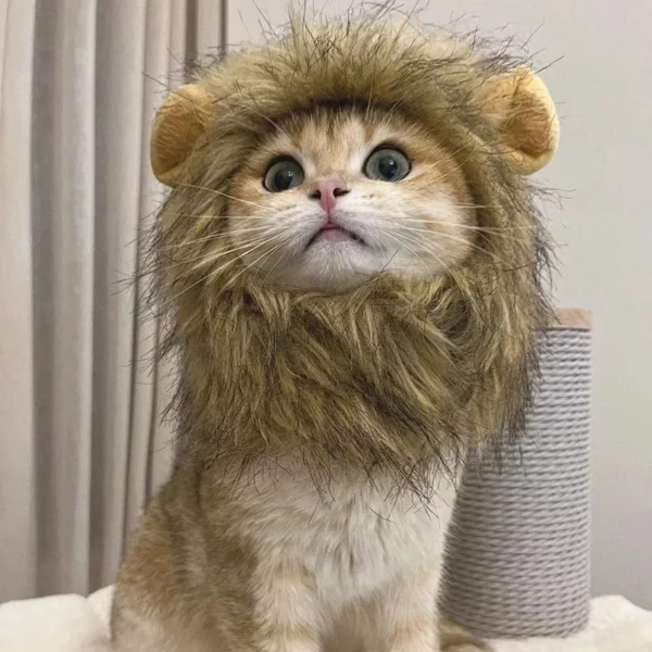 Funny Pets Clothes Cap Cute Cat Wig Lion Mane Costume Cosplay Kitten Dog Hat with Ears Fancy Party Supplies - Image 2