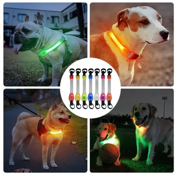 Dog Anti Lost Safety Glowing Collar Multi-Color Pendant Outdoor Waterproof Warning Led Flashing Light Strip Pet Traction Supplie - Image 3