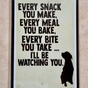 EVERY SNACK YOU MAKE BITE YOU TAKE ILL BE WATCHING METAL SIGN MAN CAVE DOG PET