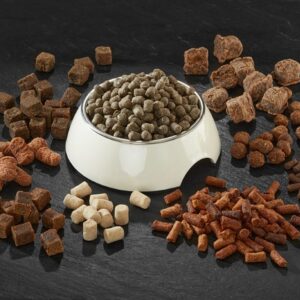 Treats and snacks pet food