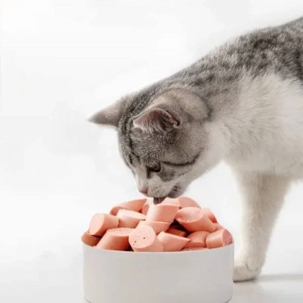 Sausage Puppy Snack Dog Treats Dog Ham Adult Dog Puppy General Pet Treats Wholesale Cat Treats Dog Sausage Dog Cat Feeding 500g - Image 6