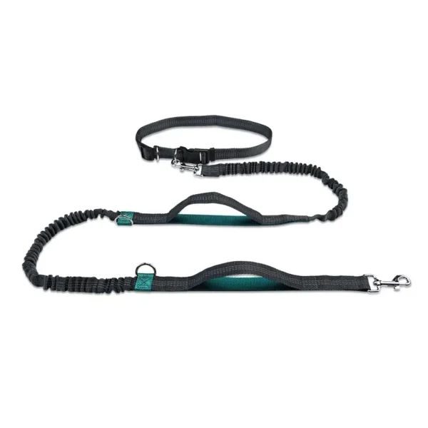 Retractable Hands Free Dog Leash for Running Judge Leash Large Dog Pet Supplies - Image 3